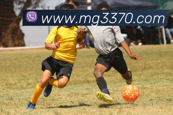 赛事专题整合
